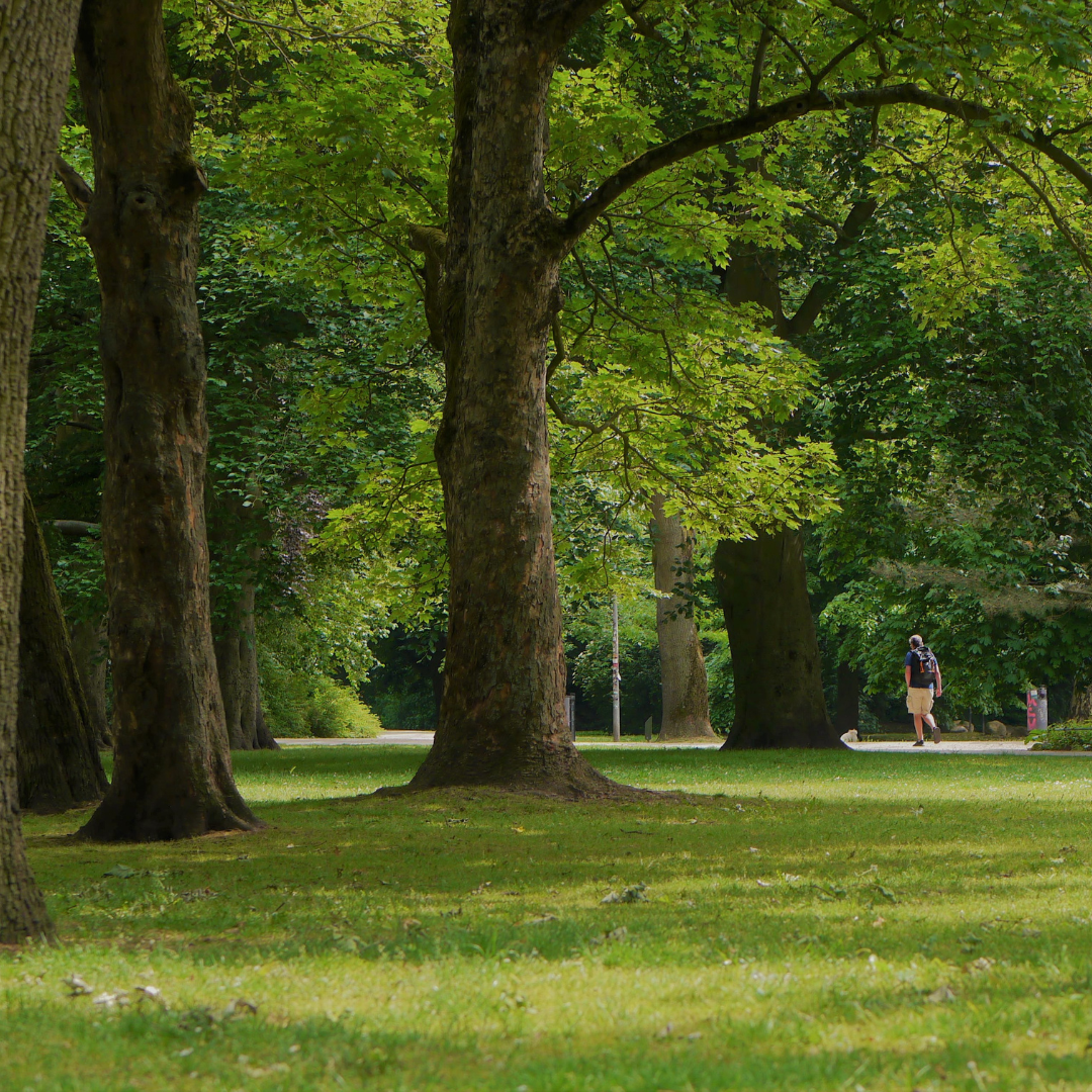 Walking for Wellbeing